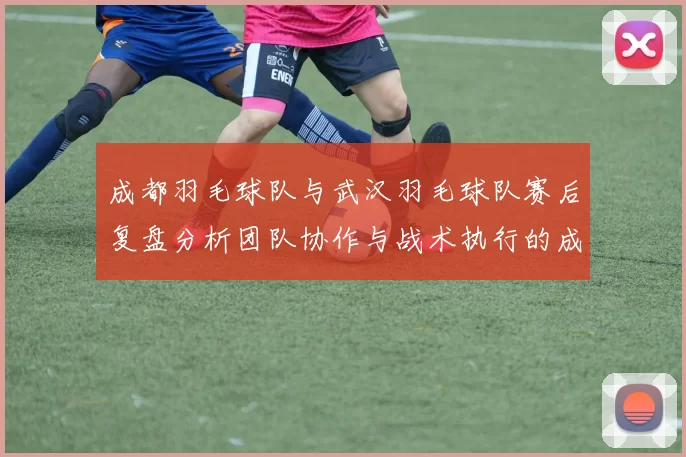 成都羽毛球队与武汉羽毛球队赛后复盘分析团队协作与战术执行的成功与不足