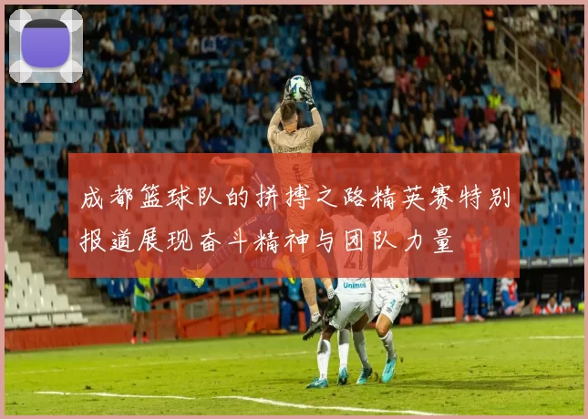 成都篮球队的拼搏之路精英赛特别报道展现奋斗精神与团队力量
