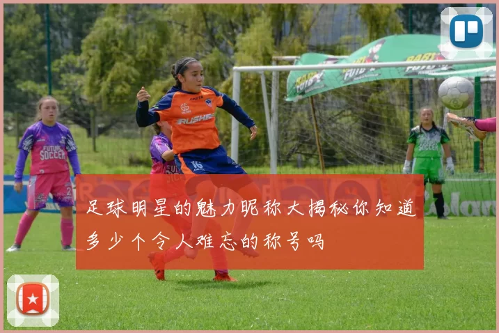 足球明星的魅力昵称大揭秘你知道多少个令人难忘的称号吗